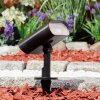 Usmagama Solar Tuinspot LED Zwart, 1-licht, Bewegingsmelder, Kleurwisselaar