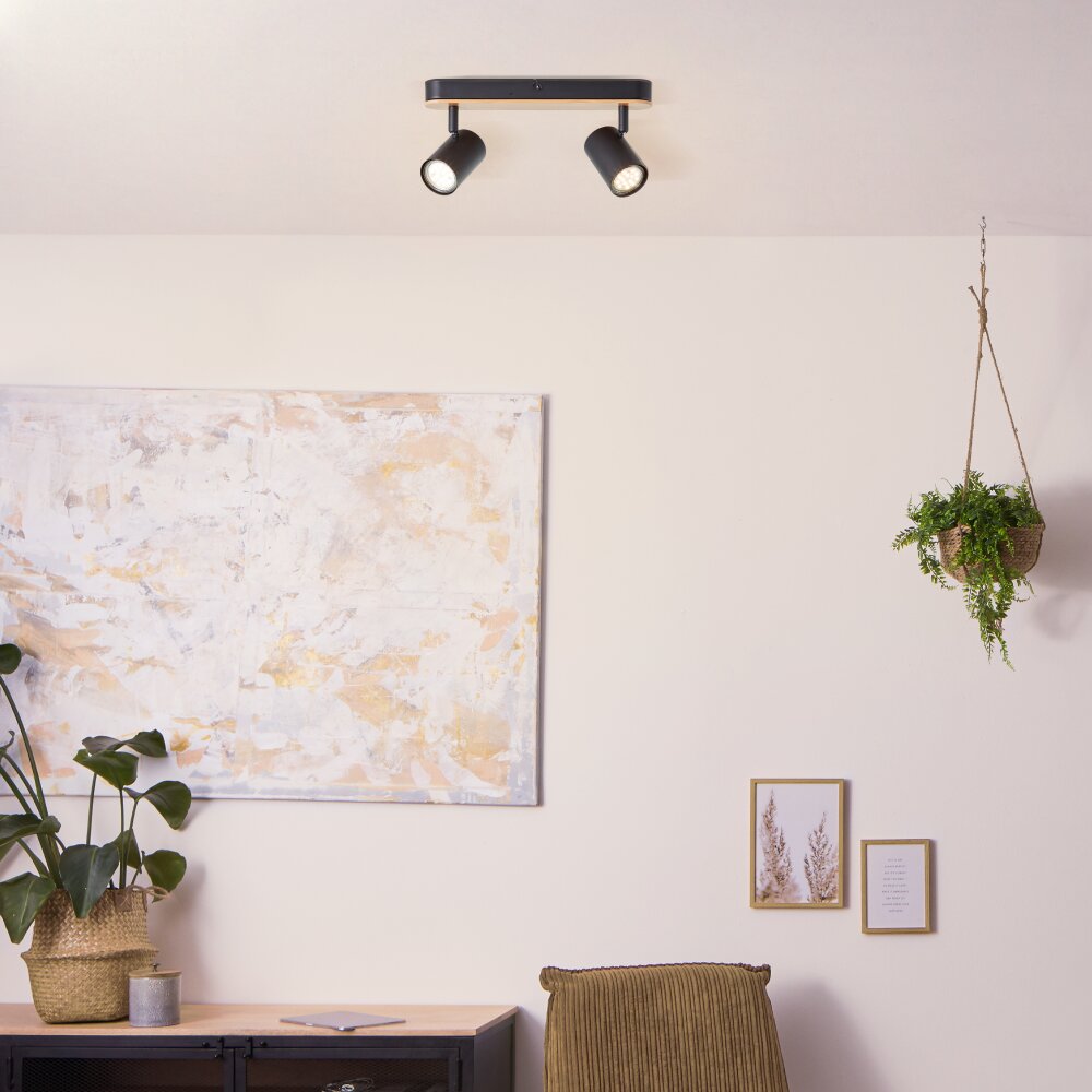 Brilliant Niels Plafondlamp Bruin, Zwart, 2-lichts main product photo