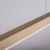 Paul Neuhaus PURE-MOTO Hanglamp LED Messing, 3-lichts, Afstandsbediening