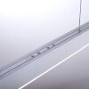 Paul Neuhaus PURE-MOTO Hanglamp LED Aluminium, 3-lichts, Afstandsbediening