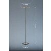 Fischer & Honsel Dent Staande lamp LED Zwart, 1-licht Fischer & Honsel Dent Staande lamp LED Zwart, 1-licht