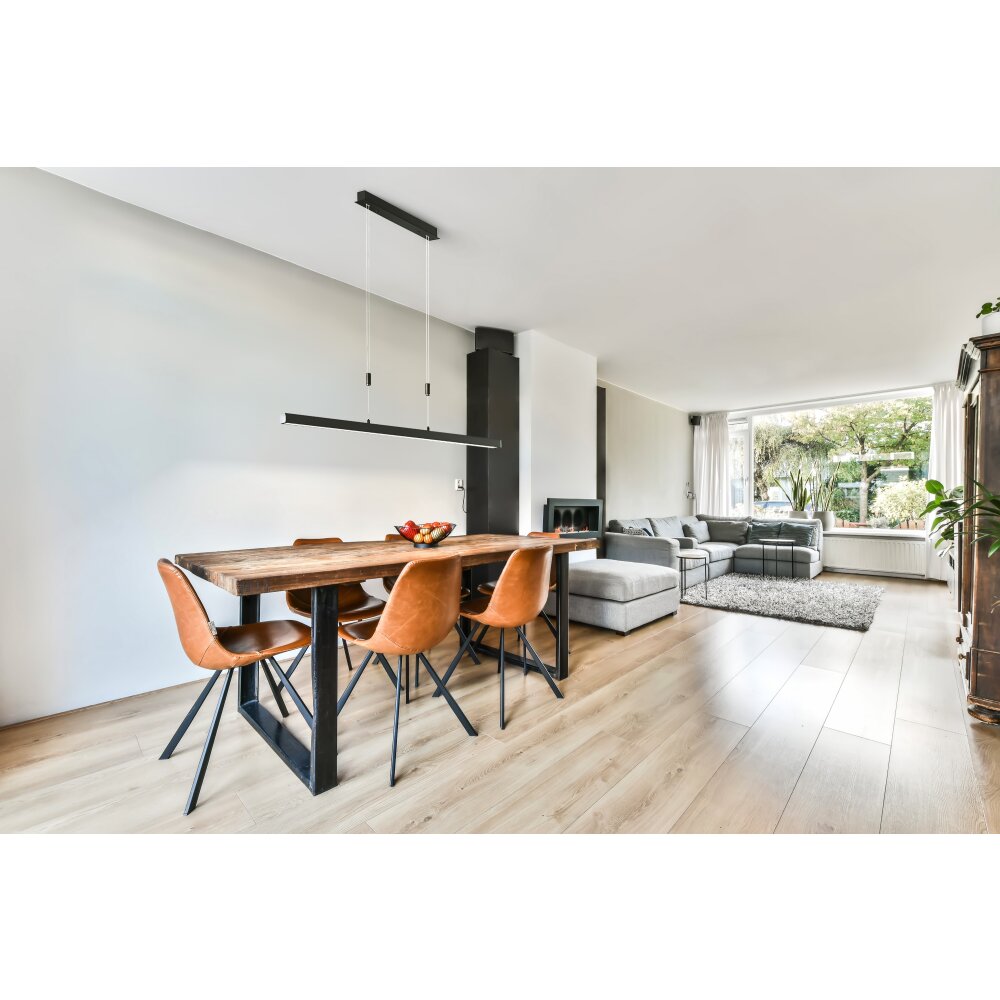 Fischer & Honsel Vito Hanglamp LED Zwart, 1-licht main product photo