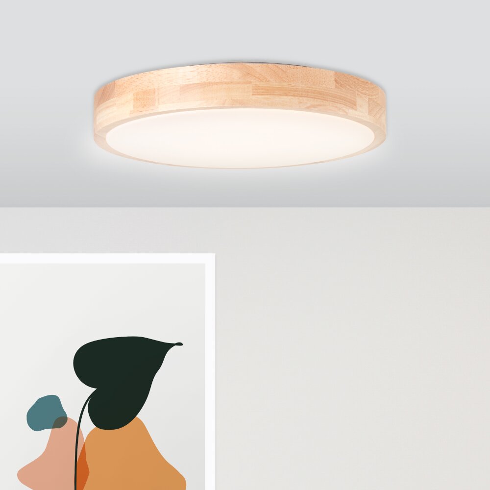 Brilliant Moreen Plafondlamp LED Wit, 1-licht main product photo