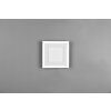 Reality Carus Plafondlamp LED Wit, 2-lichts