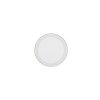 Reality Carus Plafondlamp LED Wit, 2-lichts