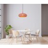 Lucide RAYCO Hanger Roze, 1-licht