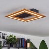 Charentay Plafondlamp LED Zwart, 1-licht