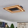 Charentay Plafondlamp LED Zwart, 1-licht