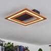 Charentay Plafondlamp LED Zwart, 1-licht