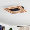 Charentay Plafondlamp LED Zwart, 1-licht