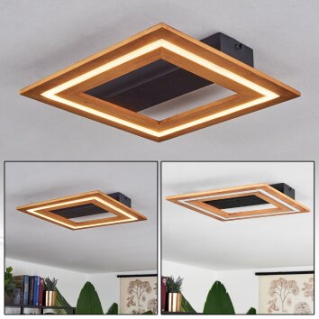 Charentay Plafondlamp LED Zwart, 1-licht