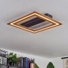 Charentay Plafondlamp LED Zwart, 1-licht