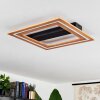 Charentay Plafondlamp LED Zwart, 1-licht