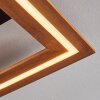 Charentay Plafondlamp LED Zwart, 1-licht