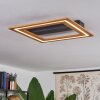 Charentay Plafondlamp LED Zwart, 1-licht