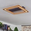 Charentay Plafondlamp LED Zwart, 1-licht