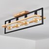 Espenel Plafondlamp, 4-lichts