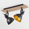 Tina Plafondlamp Hout donker, Natuurlijke kleuren, Zwart, 2-lichts