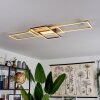 Alsterbro Plafondlamp LED Zwart, 1-licht