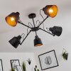 Gaudent Plafondlamp Zwart, 5-lichts