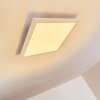 Voisines Plafondpaneel LED Wit, 1-licht, Afstandsbediening, Kleurwisselaar