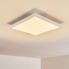 Voisines Plafondpaneel LED Wit, 1-licht, Afstandsbediening, Kleurwisselaar