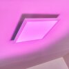 Voisines Plafondpaneel LED Wit, 1-licht, Afstandsbediening, Kleurwisselaar