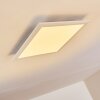 Voisines Plafondpaneel LED Wit, 1-licht, Afstandsbediening, Kleurwisselaar
