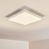 Voisines Plafondpaneel LED Wit, 1-licht, Afstandsbediening, Kleurwisselaar