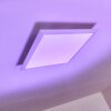 Voisines Plafondpaneel LED Wit, 1-licht, Afstandsbediening, Kleurwisselaar