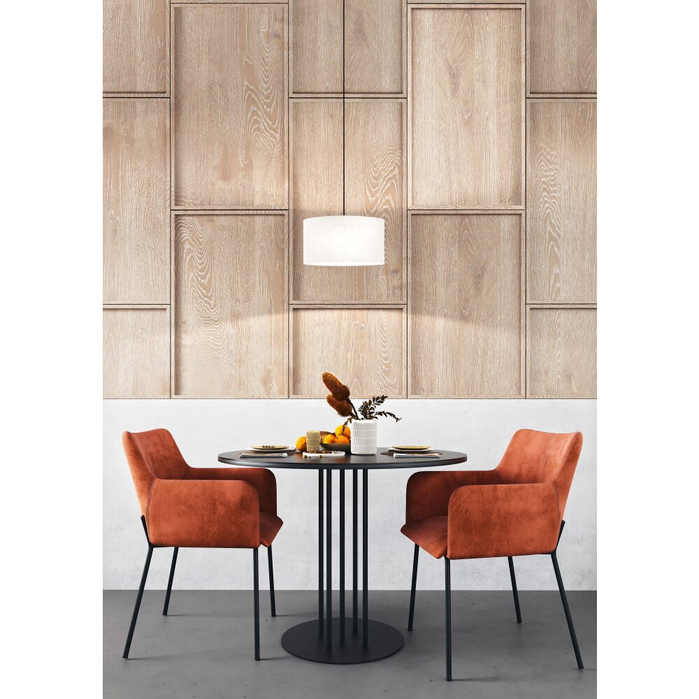 Fischer & Honsel Teramo Hanger Zwart, 3-lichts main product photo
