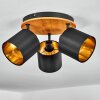 Alsen Plafondlamp Natuurlijke kleuren, Zwart, 3-lichts Alsen Plafondlamp Natuurlijke kleuren, Zwart, 3-lichts