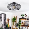 Oravi Plafondlamp Zwart, 1-licht