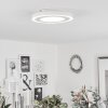 Audrieu Plafondlamp LED Wit, 2-lichts