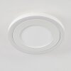 Audrieu Plafondlamp LED Wit, 2-lichts