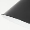 Estancarbon Staande lamp Zwart, 1-licht