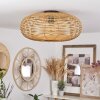 Mulstrand Plafondlamp Natuurlijke kleuren, 1-licht