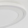 Audrieu Plafondlamp LED Wit, 2-lichts