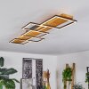 Pompu Plafondlamp LED Natuurlijke kleuren, Zwart, 1-licht