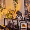 Novilly Tafellamp Zwart, 1-licht