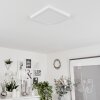 Canditas Plafondlamp LED Wit, 1-licht