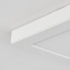Canditas Plafondlamp LED Wit, 1-licht