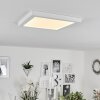 Canditas Plafondlamp LED Wit, 1-licht