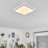 Canditas Plafondlamp LED Wit, 1-licht