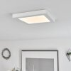 Canditas Plafondlamp LED Wit, 1-licht