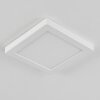 Canditas Plafondlamp LED Wit, 1-licht
