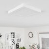Canditas Plafondlamp LED Wit, 1-licht