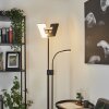 Janze Uplighter LED Zwart, 2-lichts