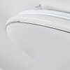 Remenoville Plafondlamp LED Chroom, Wit, 1-licht