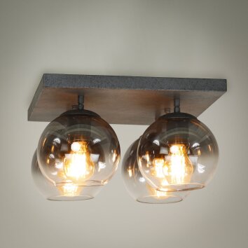 Eidanger Plafondlamp Antraciet, 4-lichts Eidanger Plafondlamp Antraciet, 4-lichts